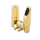 O plástico durável das portas dobro tampa o vácuo que metaliza o equipamento para as cores brilhantes douradas de prata