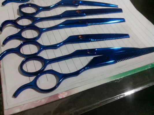 Máquina de revestimento de nitreto de titânio de cromo de plástico de duas portas